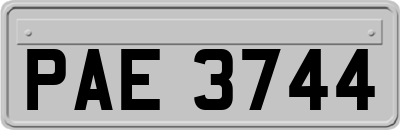PAE3744