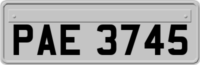 PAE3745