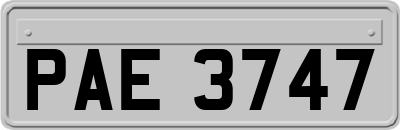 PAE3747