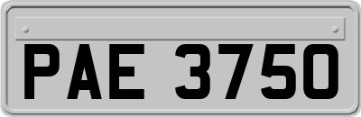 PAE3750