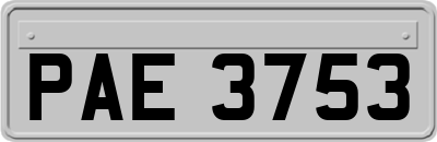 PAE3753