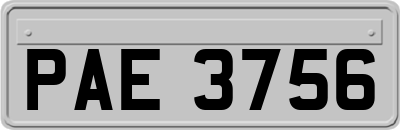 PAE3756