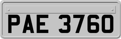 PAE3760