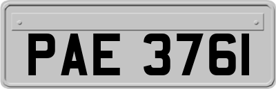 PAE3761