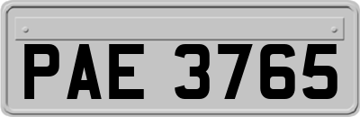 PAE3765