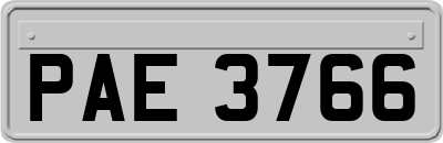 PAE3766