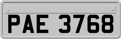 PAE3768