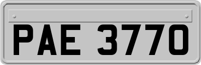PAE3770