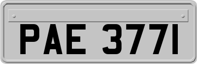 PAE3771