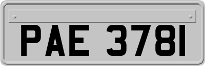 PAE3781