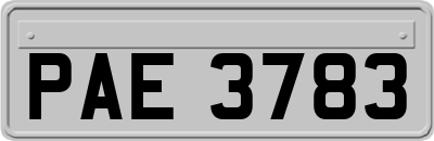 PAE3783