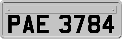 PAE3784