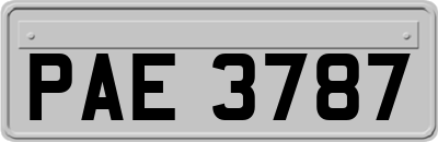 PAE3787