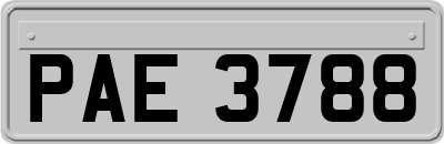 PAE3788