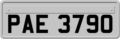 PAE3790