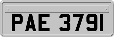 PAE3791