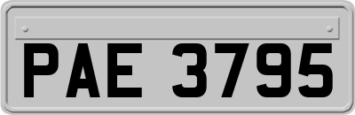 PAE3795