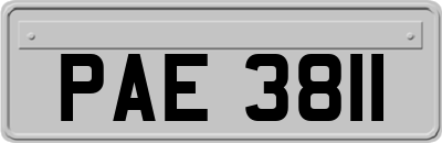 PAE3811