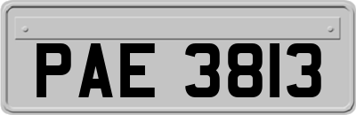 PAE3813