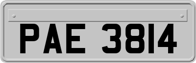 PAE3814