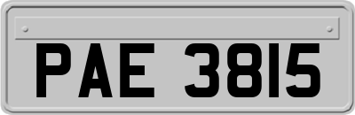 PAE3815