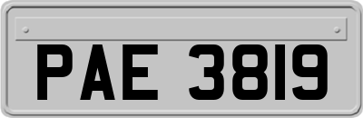 PAE3819
