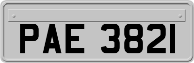 PAE3821
