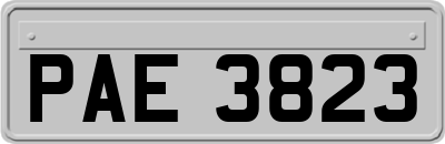 PAE3823