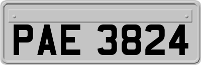 PAE3824