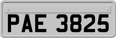 PAE3825