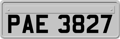 PAE3827