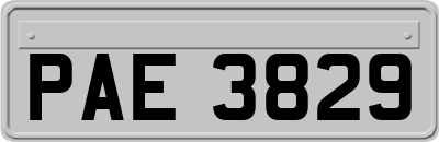 PAE3829