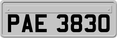 PAE3830