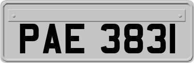 PAE3831