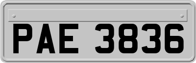 PAE3836
