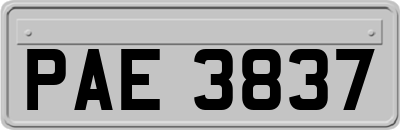 PAE3837