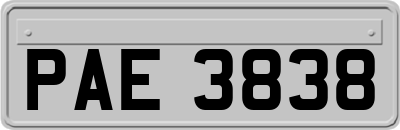 PAE3838