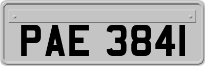 PAE3841