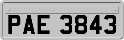 PAE3843