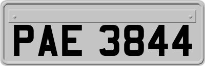 PAE3844