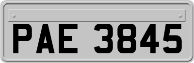 PAE3845