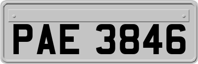 PAE3846