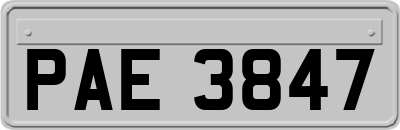 PAE3847