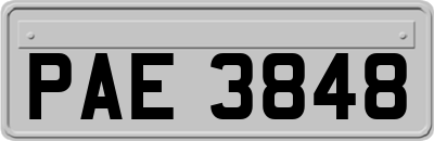 PAE3848