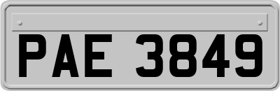 PAE3849