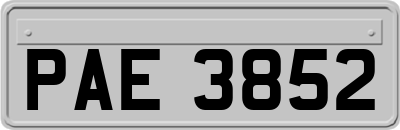 PAE3852