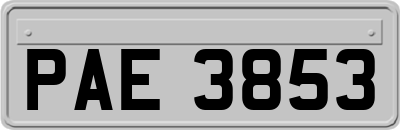 PAE3853