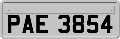 PAE3854