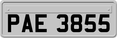 PAE3855