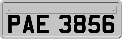 PAE3856